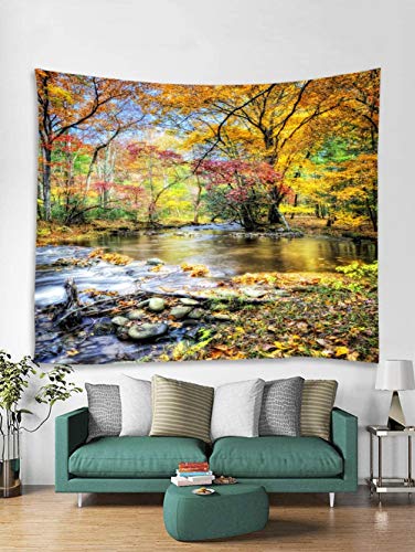 Fall Forest Waterfall  Scenic Tapestry