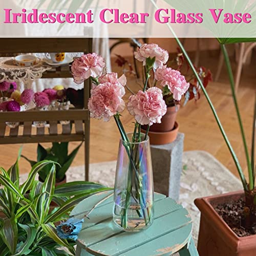 2 Pcs Modern Soda Lime Glass Vase,8.8Inch Irised Crystal Clear Glass Vase,Large Flower Vases for Home,Office