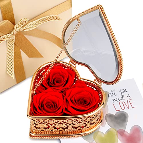 Preserved Flowers Box Gifts for Women