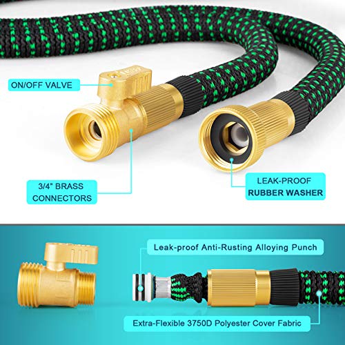 100ft Garden Expandable Hose w/ 10 Function Spray Nozzle