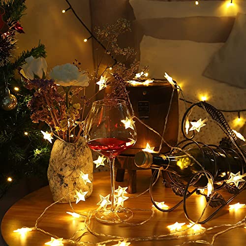 19.6 ft 40 LED Fairy Lights Battery Operated Christmas Lights