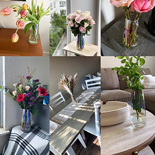 2 Pcs Modern Soda Lime Glass Vase,8.8Inch Irised Crystal Clear Glass Vase,Large Flower Vases for Home,Office