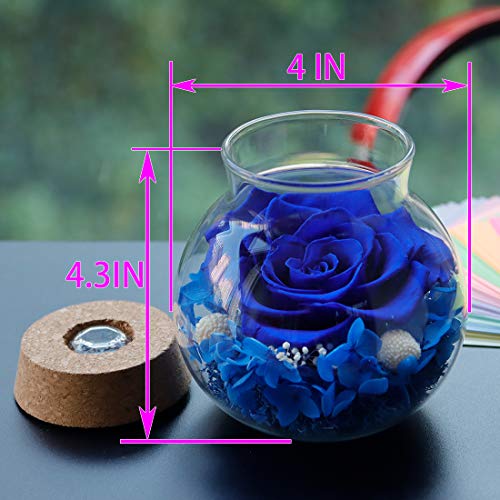 Preserved Real Roses w/  Colorful Mood Light Wishing Bottle