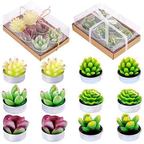 12Pcs Cute Handmade Artificial Succulents Tealight Candles Set