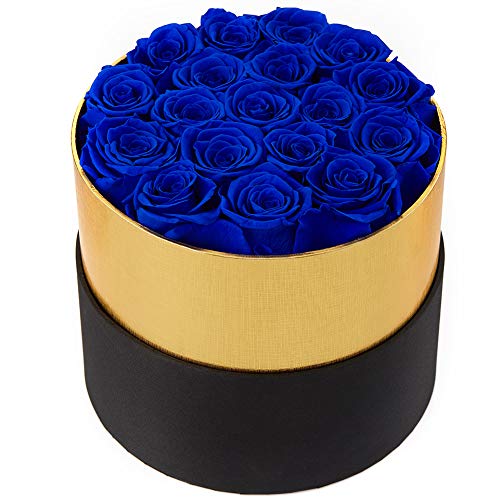 Handmade Preserved Real Roses in a Box That Last a Year Gift for Valentines Day