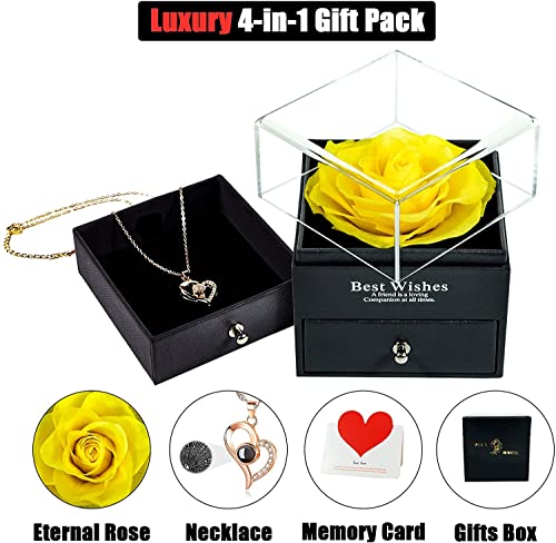 Preserved Rose w/ I Love You Necklace on Mothers Day/Valentines/Birthday