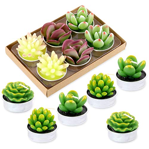 12Pcs Cute Handmade Artificial Succulents Tealight Candles Set