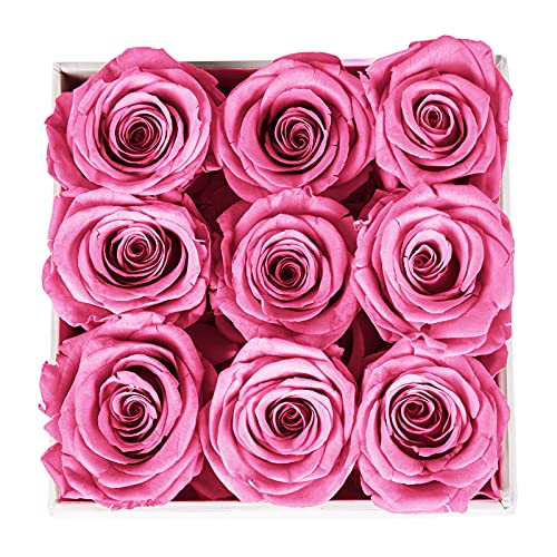 Real Roses Preserved Flowers in a Box, Long-Lasting Rose in White Medium Square Box