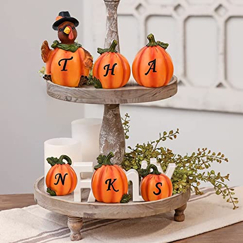 Thanksgiving Decorations Hand-Painted Turkey & Pumpkins