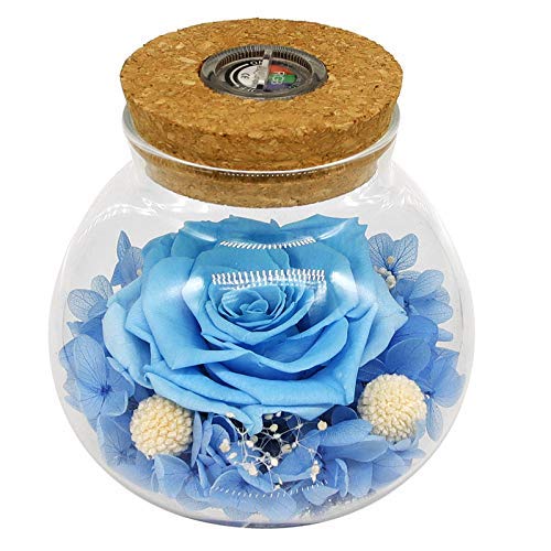 Preserved Real Roses w/  Colorful Mood Light Wishing Bottle