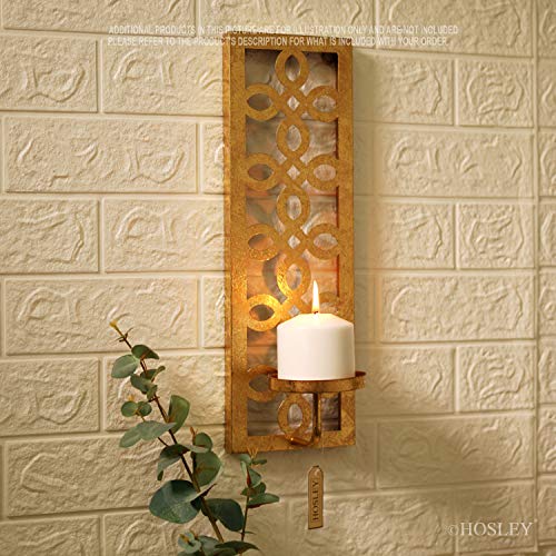 Metal Wall Sconce 16.5 Inch High