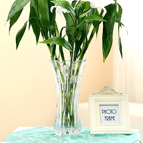 Large Flower Vase Tulips Pattern Glass Thickening for Home Decoration