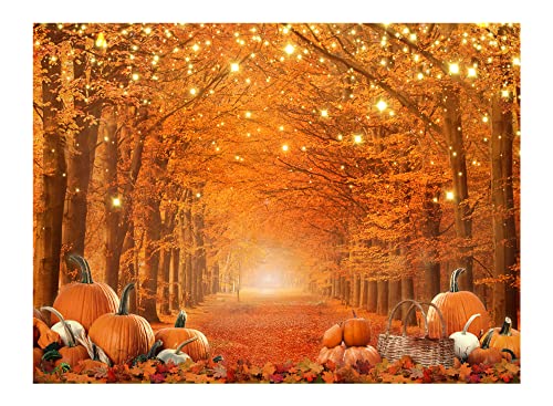 Fall Photography Backdrop Thanksgiving Party Supplies Autumn Pumpkin Friendsgiving Background