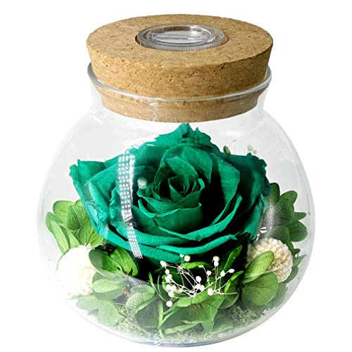 Preserved Real Roses w/  Colorful Mood Light Wishing Bottle