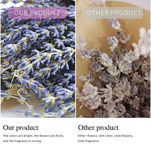 Real Dried Lavender Flowers Bundles 100% Natural Dry for Home Decorations 2 Pack (Purple)