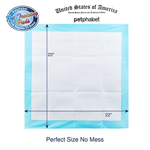 Pet Pee Pads 100 Count 22" x 22" Large -Quick Drying Gel, Eliminate Odor, Leak Proof