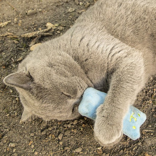 6X Premium Cat Toys for Indoor Cats with Dried Catnip