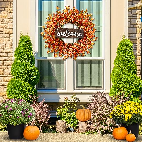 20’’ Autumn Front Door Harvest Wreath w/ Forsythia Flowers Orange Berries Welcome Sign for Thanksgiving Fall Decor