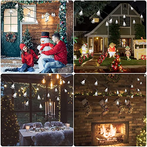 19.6 ft 40 LED Fairy Lights Battery Operated Christmas Lights