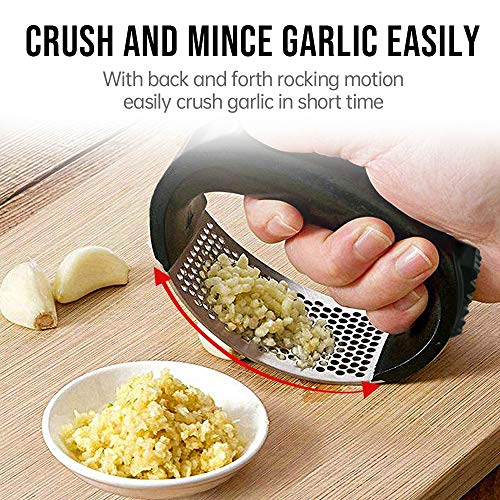 Garlic Mincer Stainless Steel w/ Ergonomic Handle