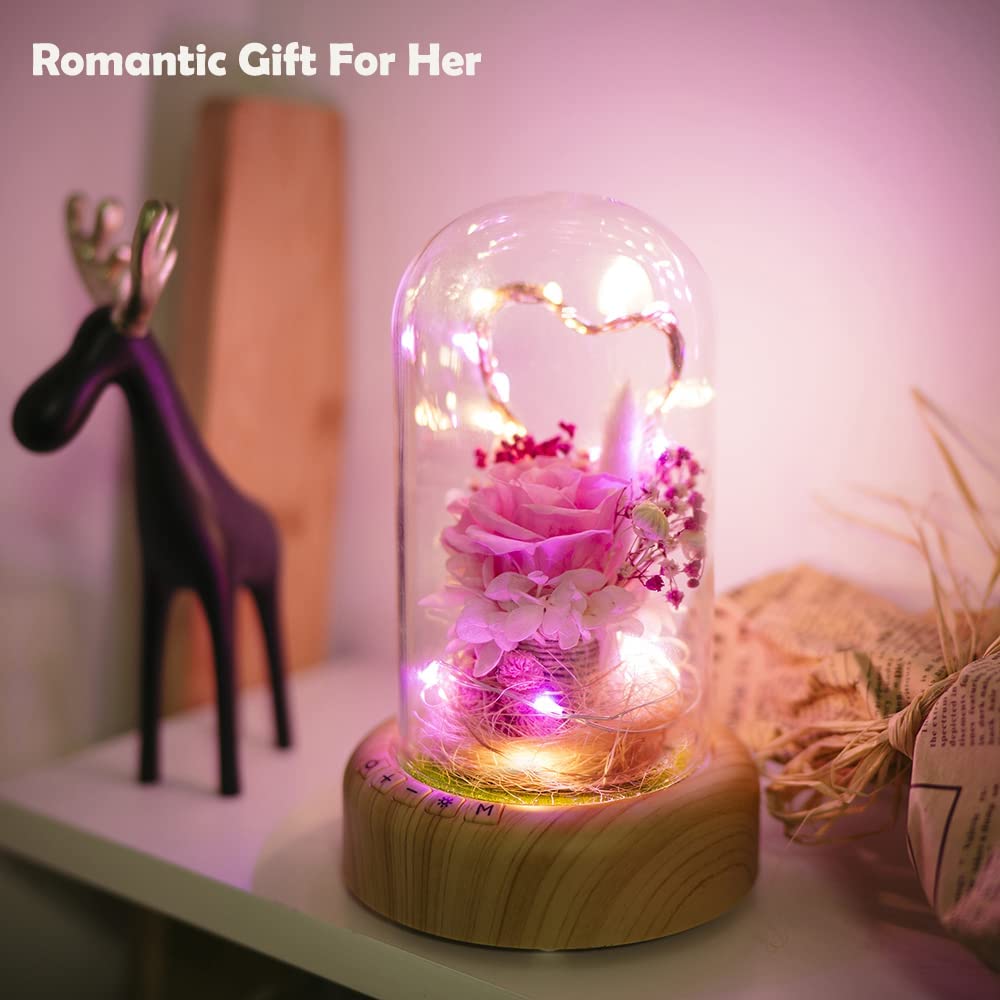 Pink Rose Night Light Preserved Rose in Glass Dome, Lamp w/ Bluetooth Speaker Best for Gift for Her/Mothers Day