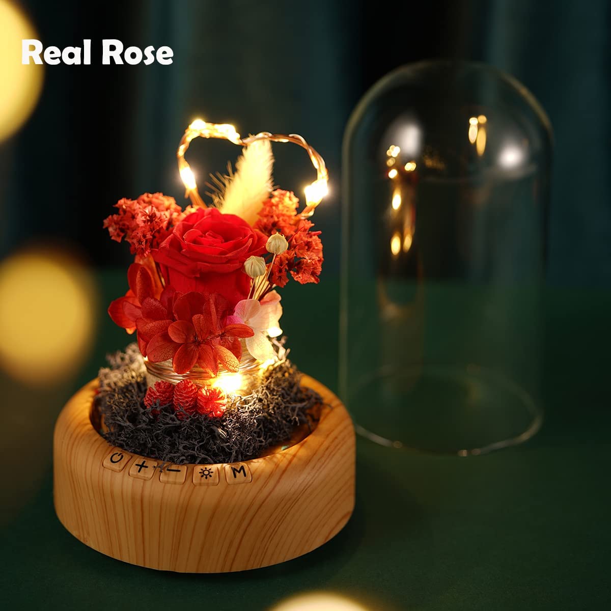 Red Rose Night Light-Real Eternal Rose in Glass Dome, Preserved Rose w/ Bluetooth Speaker