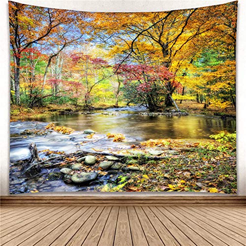 Fall Forest Waterfall  Scenic Tapestry