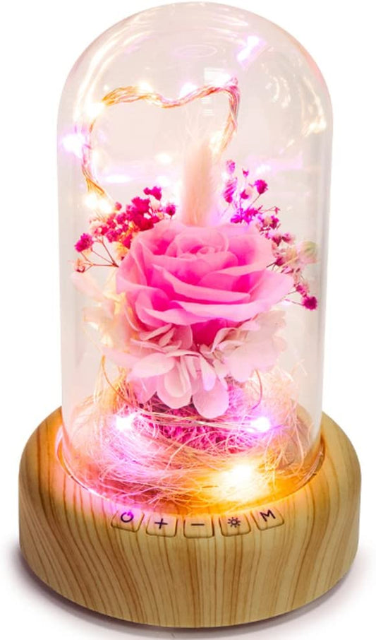 Pink Rose Night Light Preserved Rose in Glass Dome, Lamp w/ Bluetooth Speaker Best for Gift for Her/Mothers Day