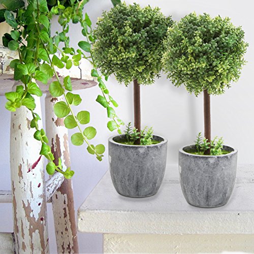 Set of 2 Artificial Boxwood Topiary Trees, Fake Plants Decor - 12 Inch