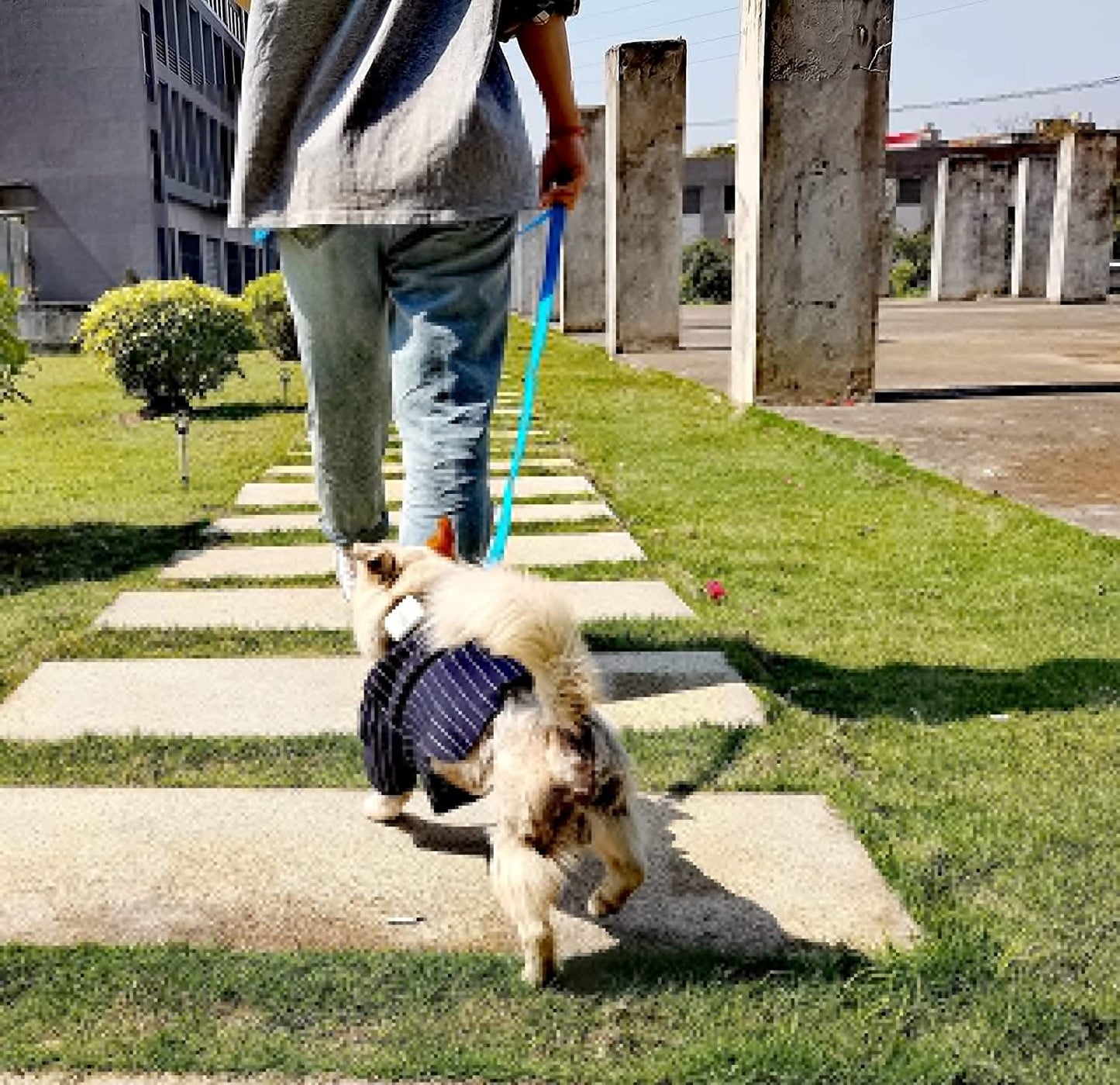 6FT Reflective Dog Leash for Large, Medium and Small Dogs, Strong Durable Nylon (Blue, 1 inch x 6FT)