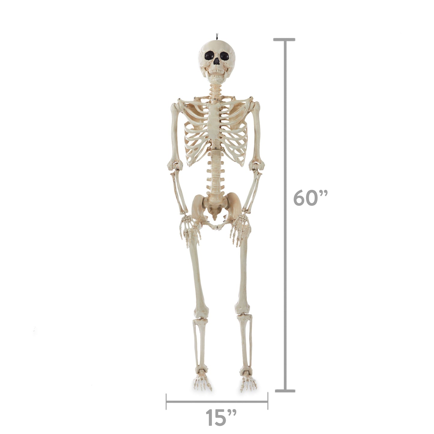 Halloween Hanging Posable Fake Skeleton Decoration, 5'