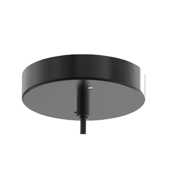 Globe Pendant Light, Matte Black Finish