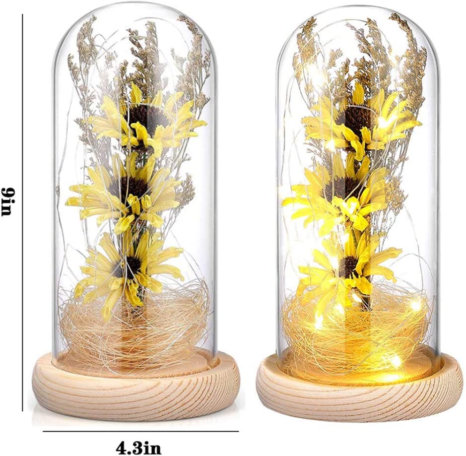 Artificial Sunflower in Glass Dome Gifts for Women w/ LED Lights