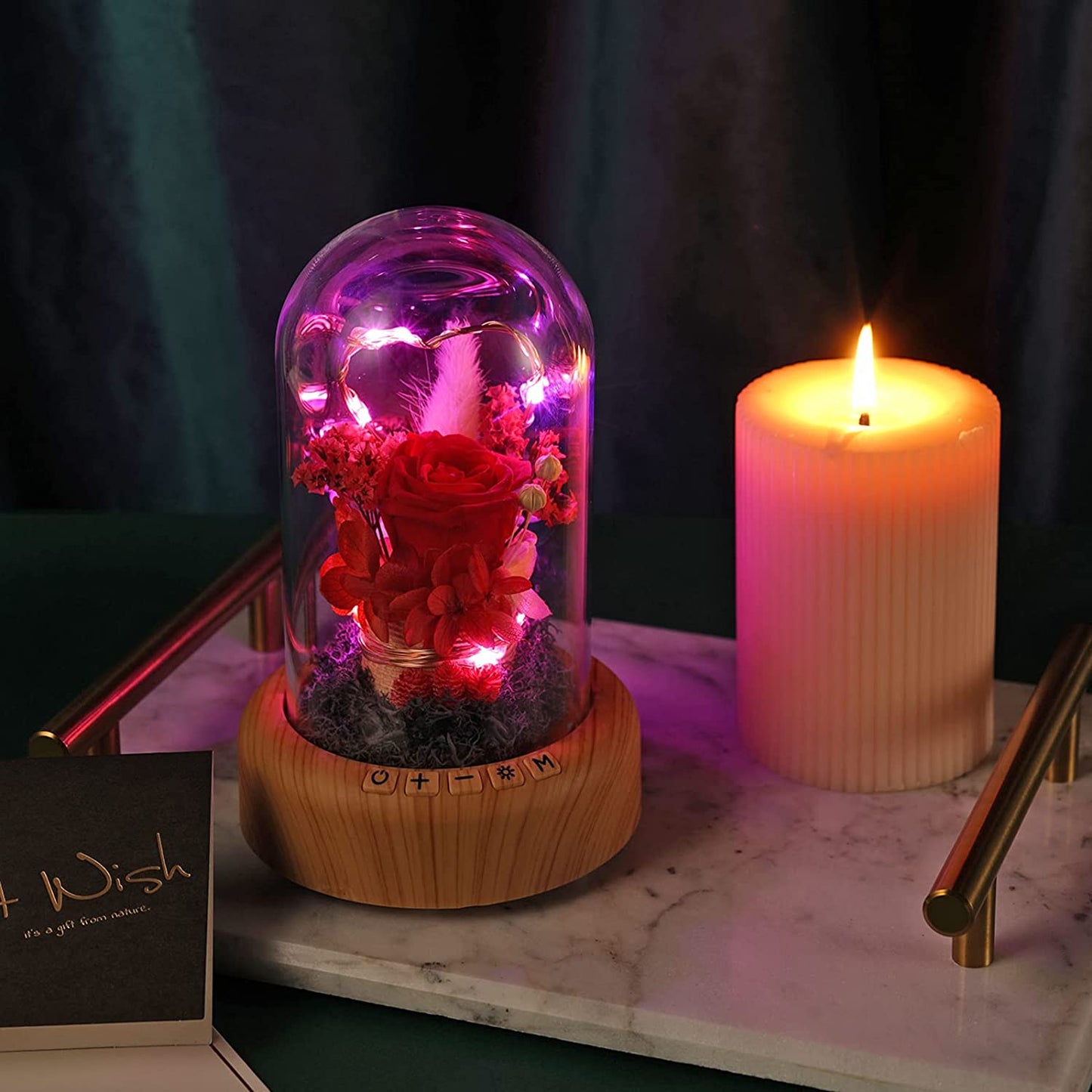 Red Rose Night Light-Real Eternal Rose in Glass Dome, Preserved Rose w/ Bluetooth Speaker