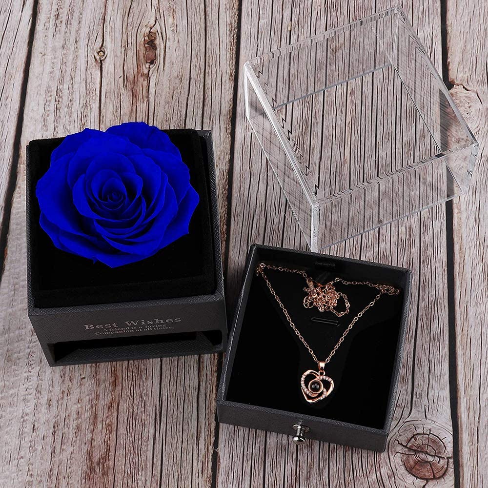 Preserved Flower Rose Gift Pack w/ 100 Languages I Love You Necklace Gift, Blue Rose