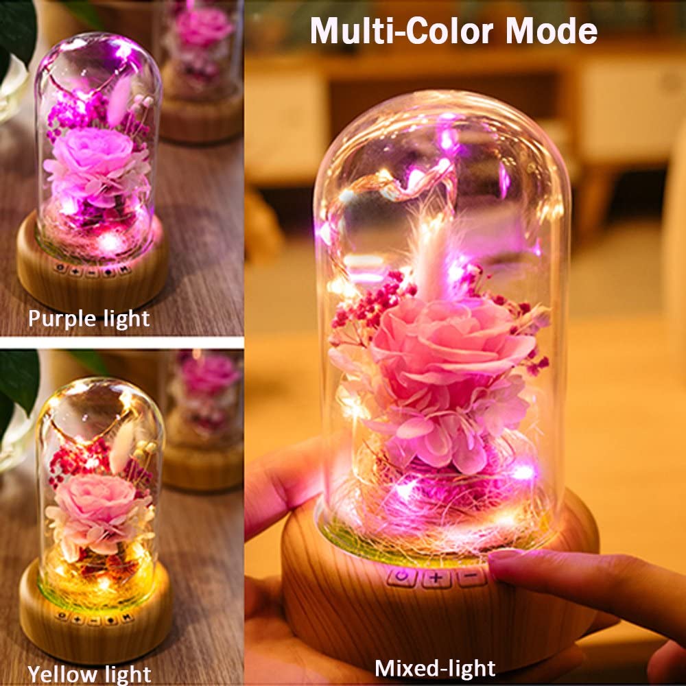 Pink Rose Night Light Preserved Rose in Glass Dome, Lamp w/ Bluetooth Speaker Best for Gift for Her/Mothers Day