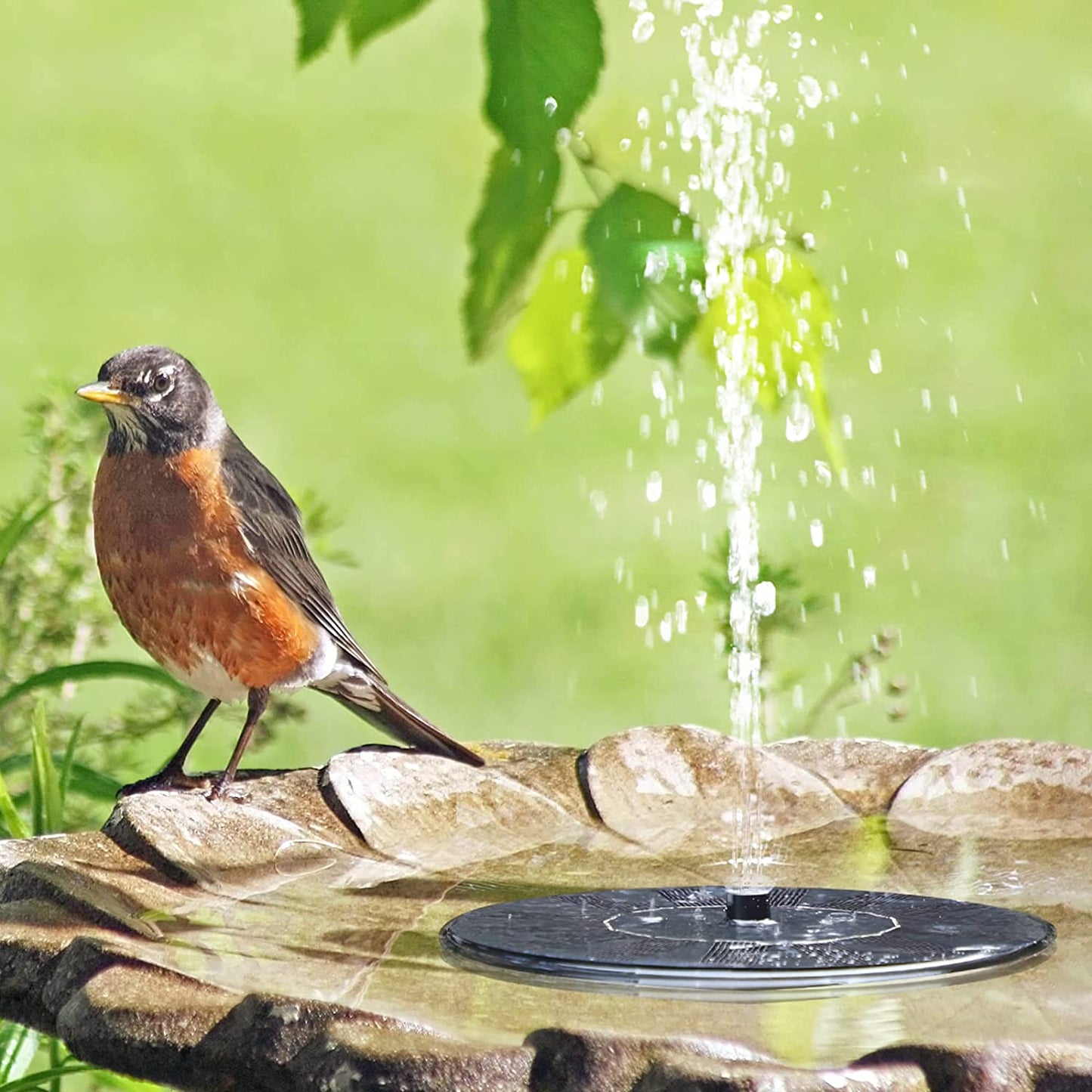 Floating Solar Powered Water Fountain Pump for Bird Bath, Garden, Pond, Pool, Outdoor (1W)