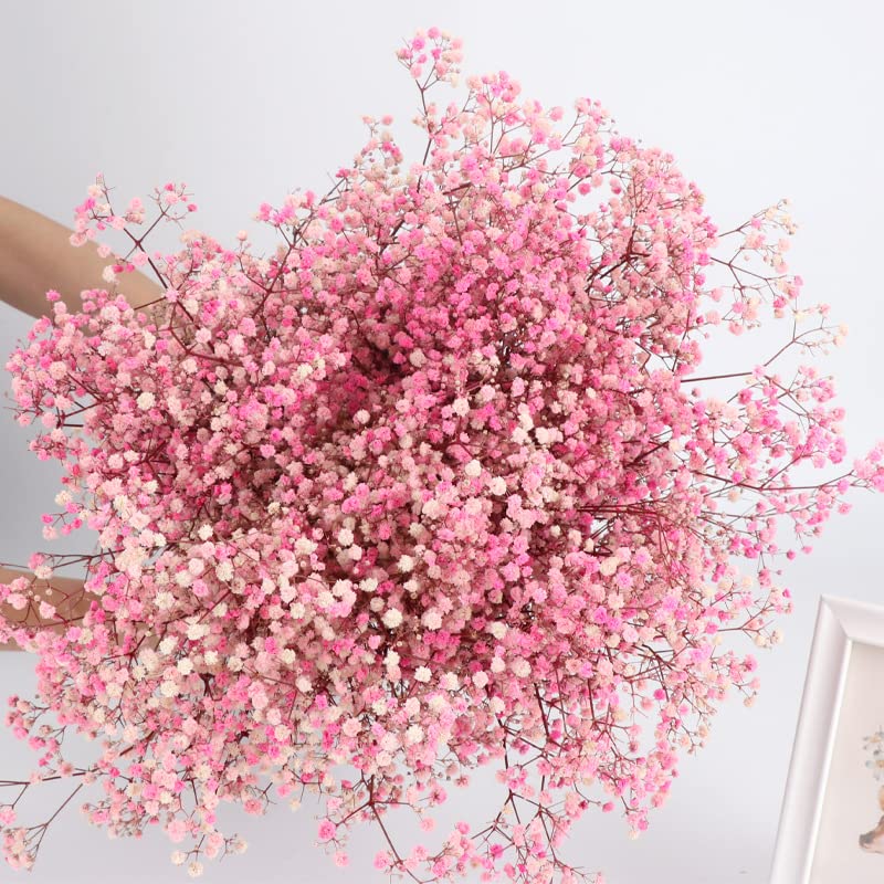 Dried-Babys-Breath-Flowers-Bouquet-17 inch