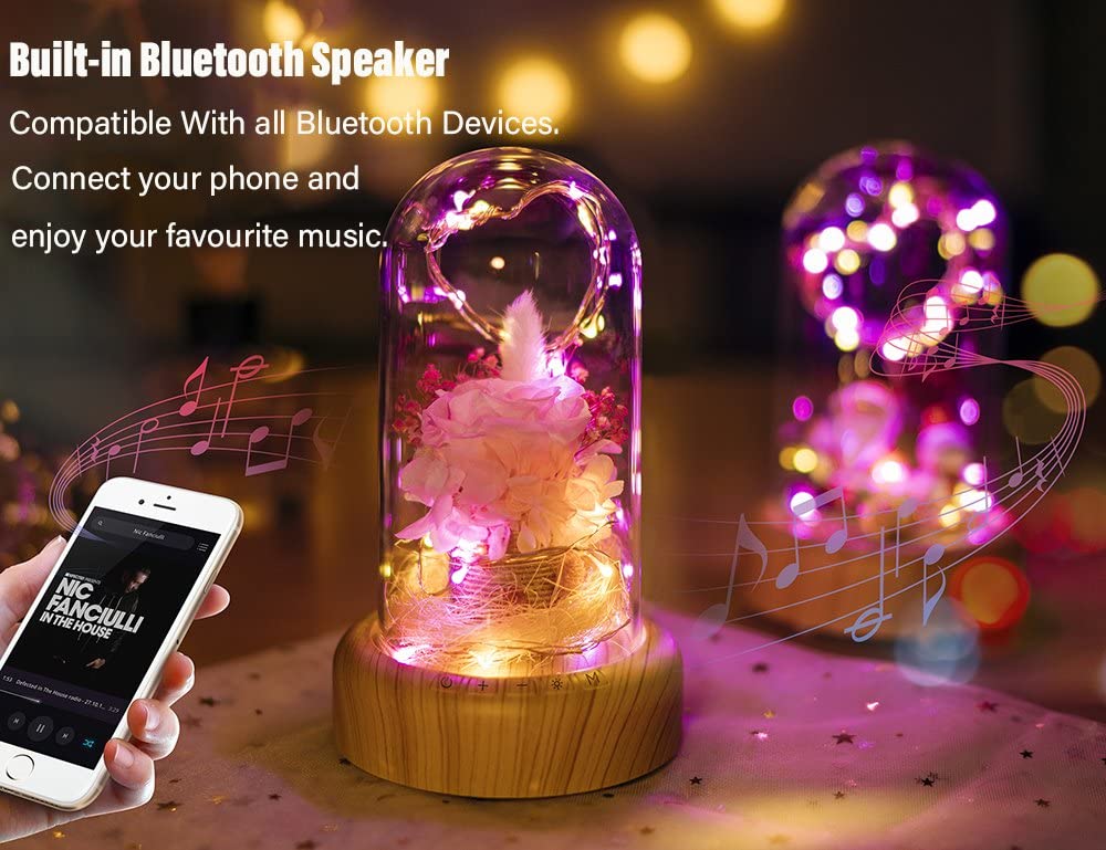 Pink Rose Night Light Preserved Rose in Glass Dome, Lamp w/ Bluetooth Speaker Best for Gift for Her/Mothers Day