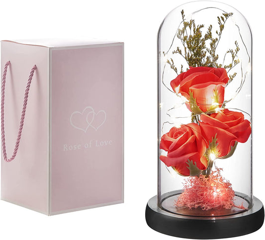 Preserved Flower Gift, Light Up Rose in Glass Dome, Eternal Forever Rose, Red