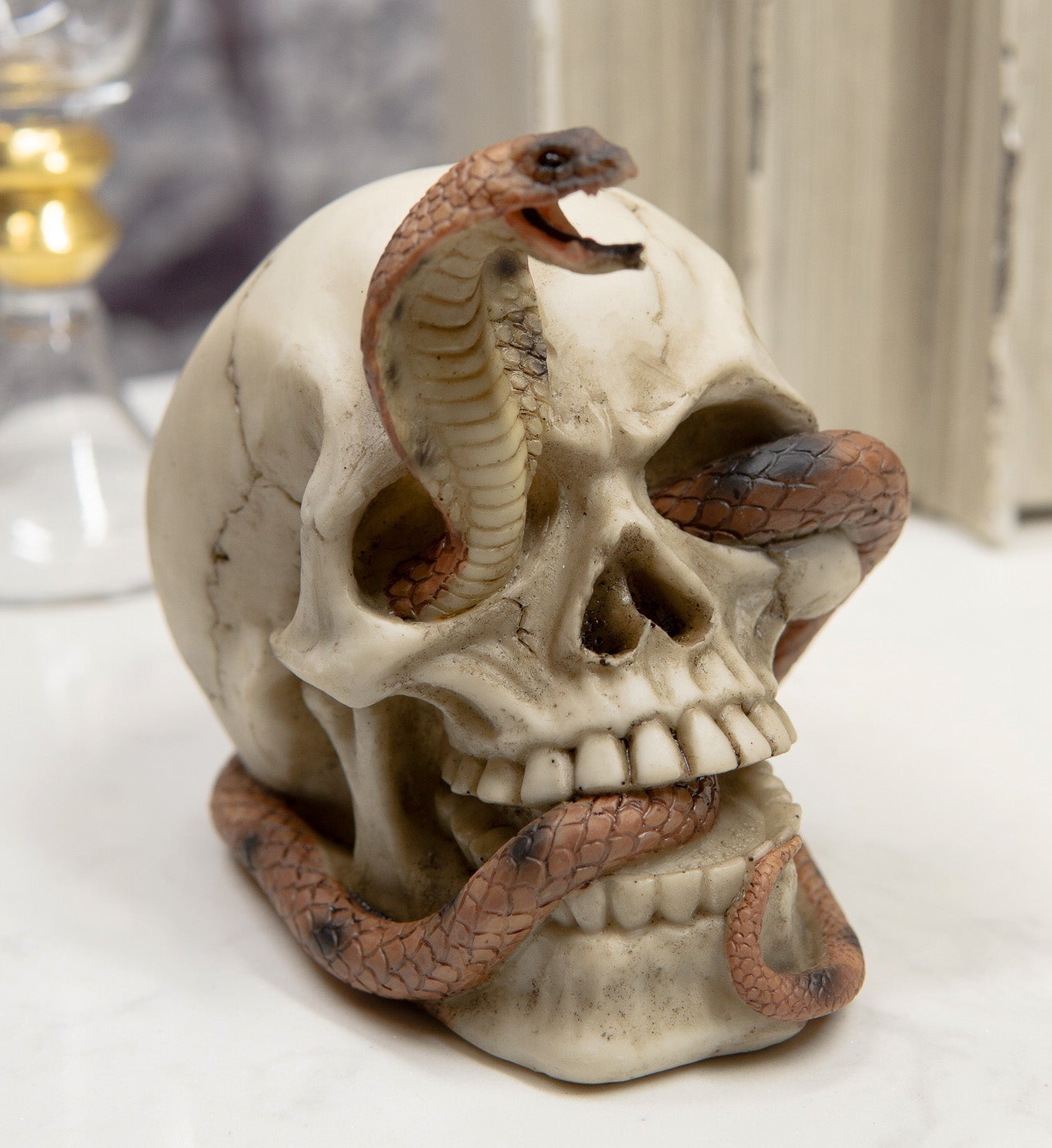 Cranium Skeleton Cobra Snake Habitat Skull Statue Figurine