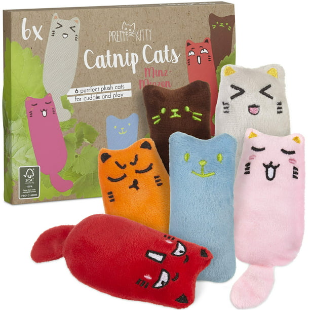 6X Premium Cat Toys for Indoor Cats with Dried Catnip