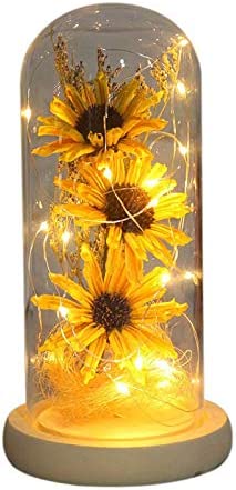 Artificial Sunflower in Glass Dome Gifts for Women w/ LED Lights