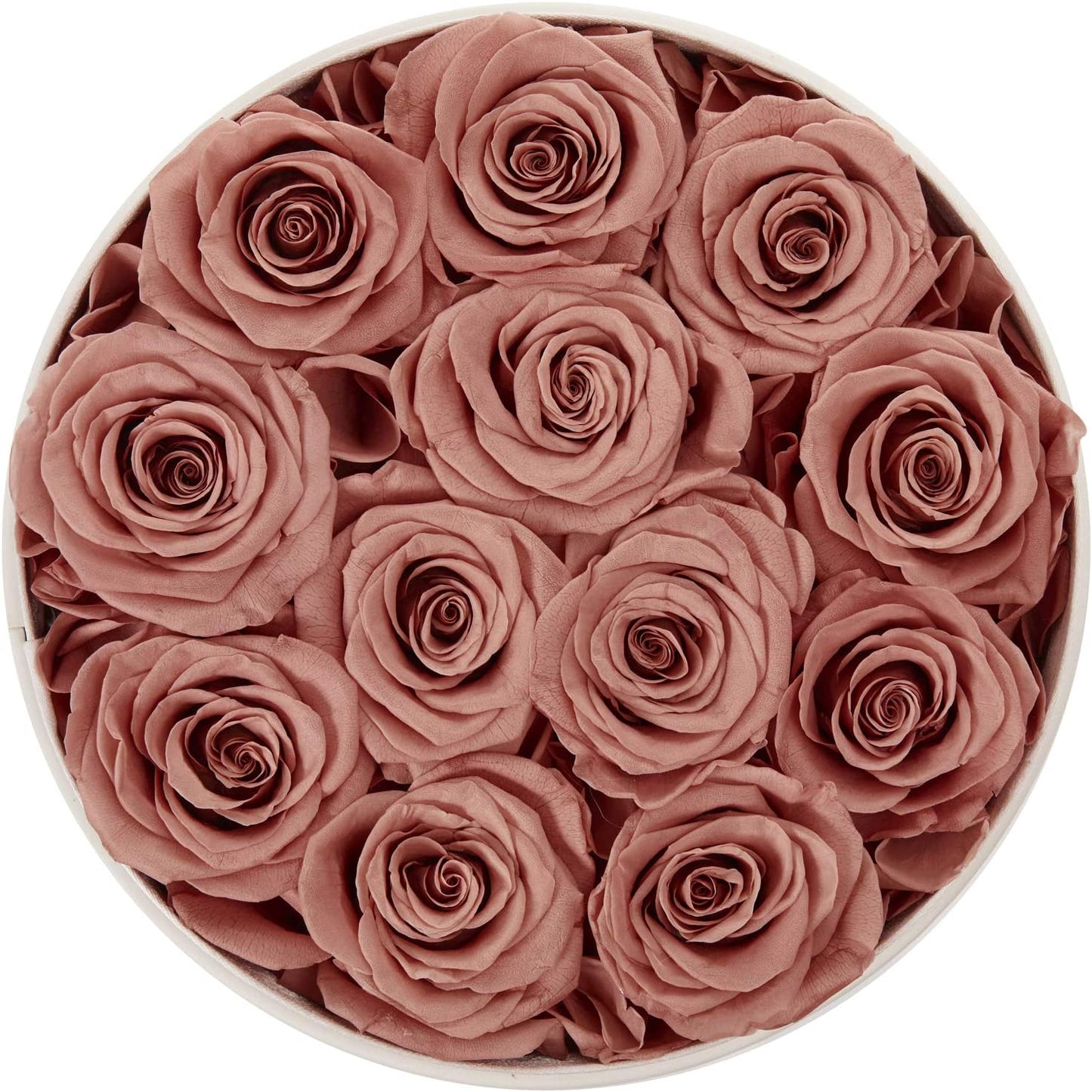 Preserved Roses That Last a Year Eternal Roses in a Box Real Rose w/o Fragrance Gift for Her (Dusty Pink Roses, Round White PU Leather Box)