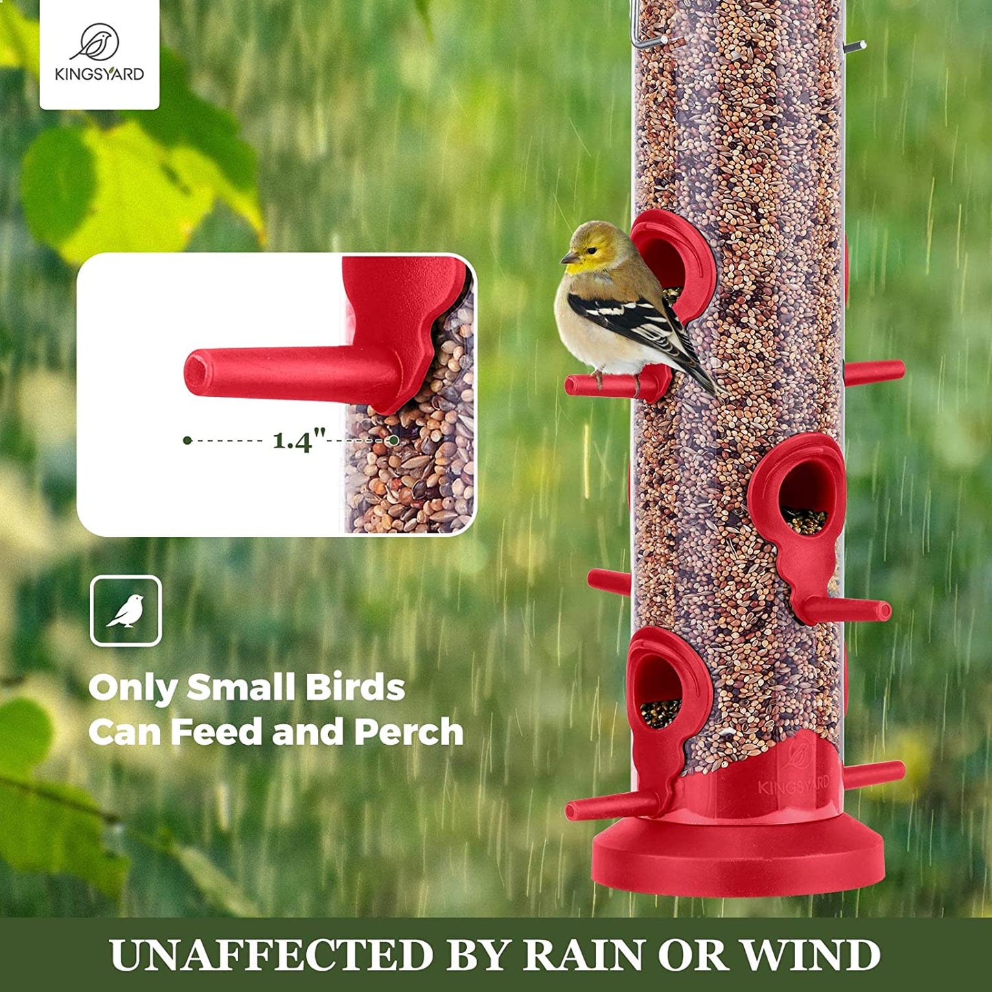 2 Pack Tube Bird Feeders Hanging, Premium Hard Plastic w/ 6 Feeding Ports, Weatherproof & Steel Hanger, (Red)