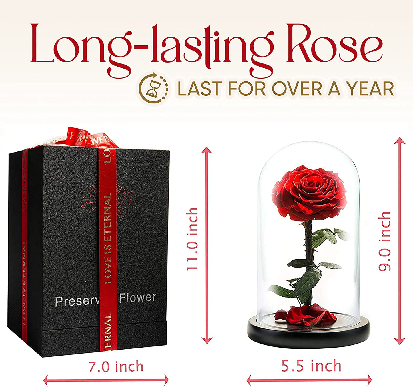 Infinity Rose in Glass Dome - Made from Real Fresh Beauty Rose - Romantic Gifts for Her/Mothers Day (red, 9 inch)