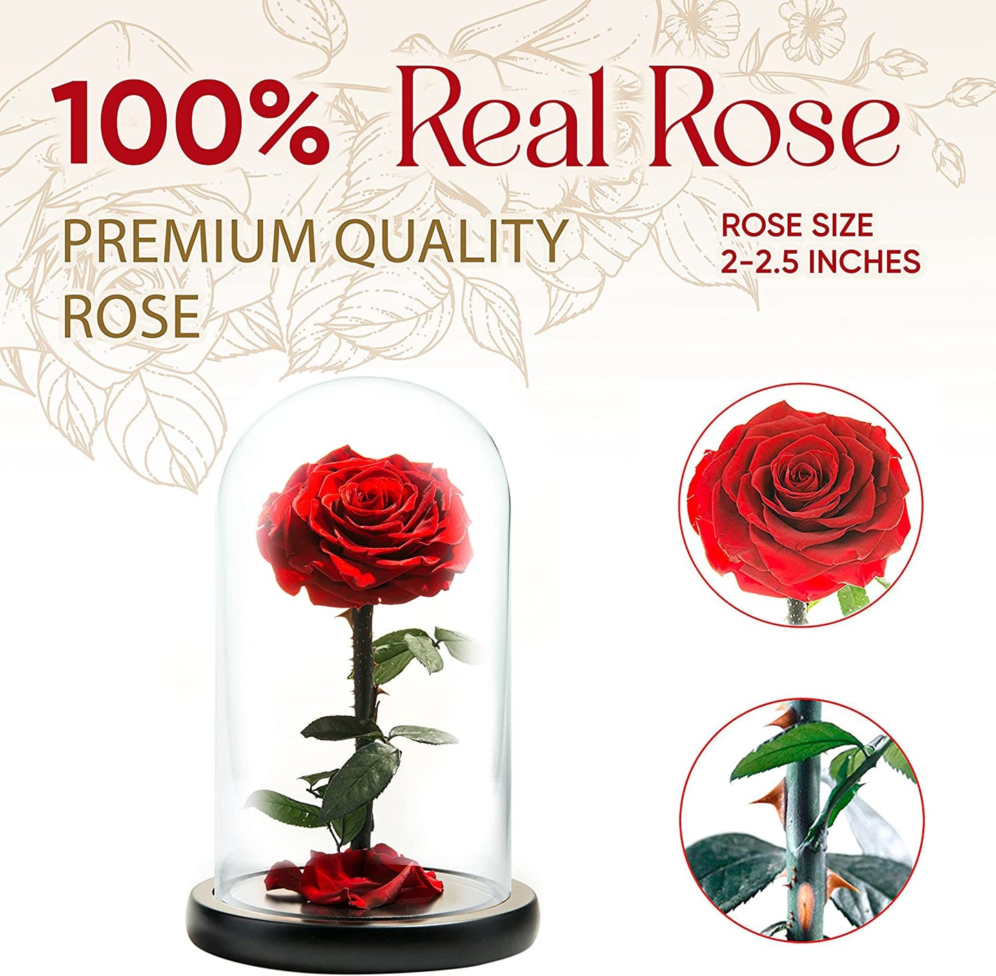 Infinity Rose in Glass Dome - Made from Real Fresh Beauty Rose - Romantic Gifts for Her/Mothers Day (red, 9 inch)