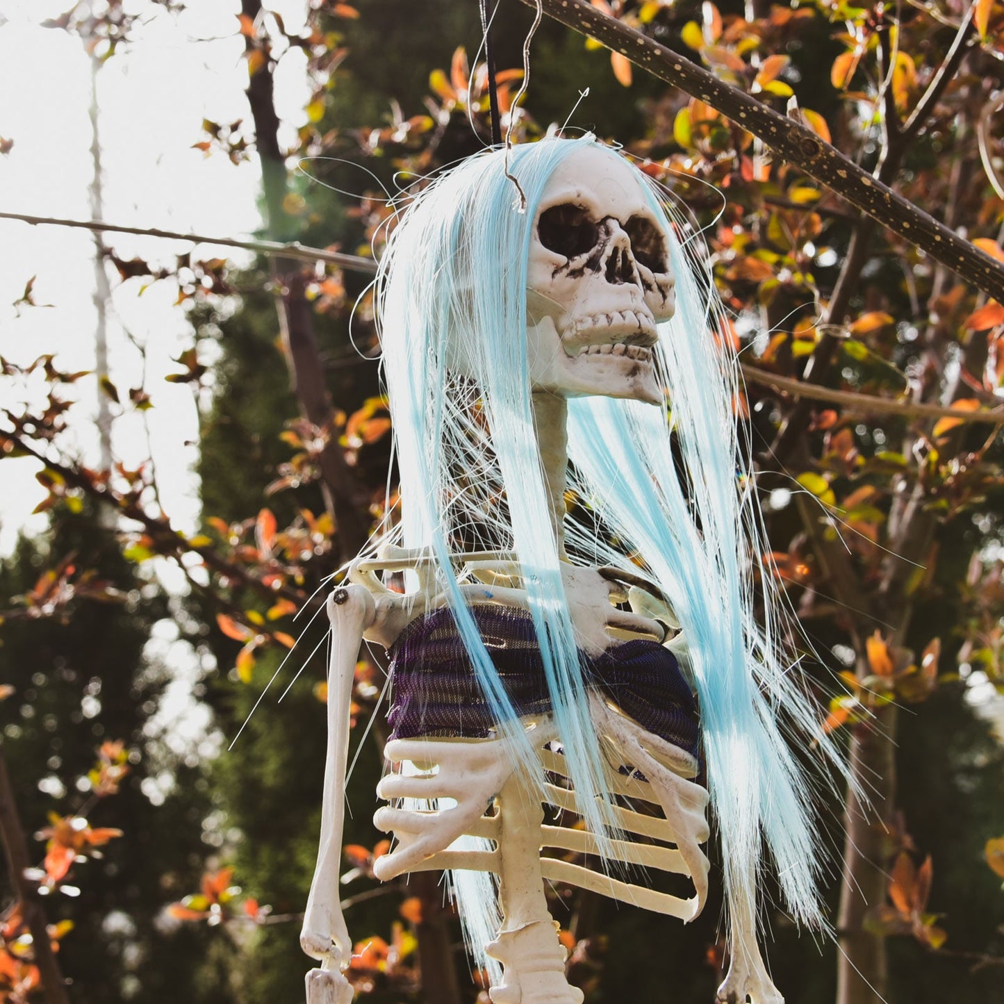 29.5" Halloween Fake Mermaid Skeleton Decoration