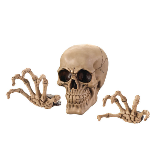 SKELETON WALL DECOR SET