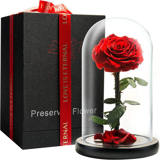 Infinity Rose in Glass Dome - Made from Real Fresh Beauty Rose - Romantic Gifts for Her/Mothers Day (red, 9 inch)